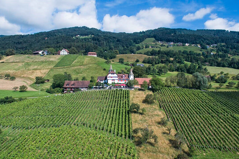 Romantik Restaurant Schloss Weinstein