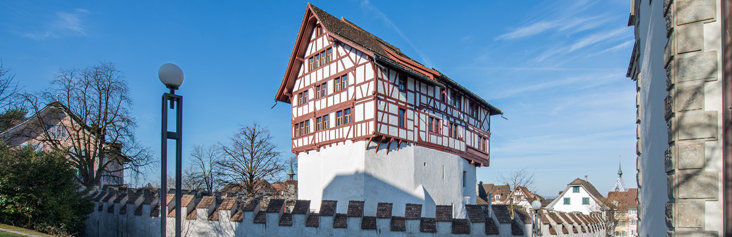 Museum Burg Zug