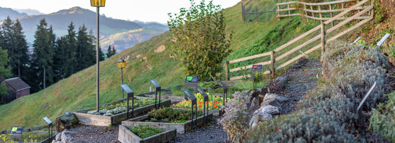 Restaurant Waldegg Teufen